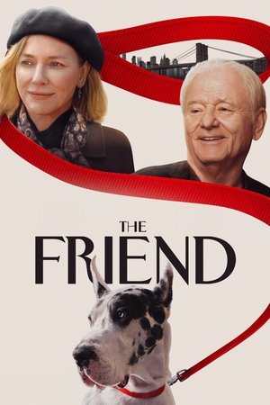 The Friend (2025) WEBRIP Hindi (MULTI AUDIO) 720p – 480p – 1080p
